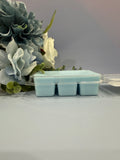 Island Kiss Wax Melts